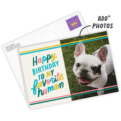 My Favorite Human Custom Card