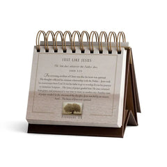 Max Lucado Grace for the Moment 365-Day Perpetual Calendar