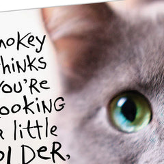 Pessimistic Cat Funny Birthday Card