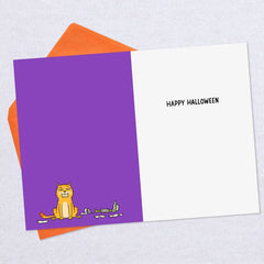 Why Mummies Don't Own Cats Funny Halloween Card
