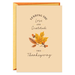 Especially Thankful for You Thanksgiving Card