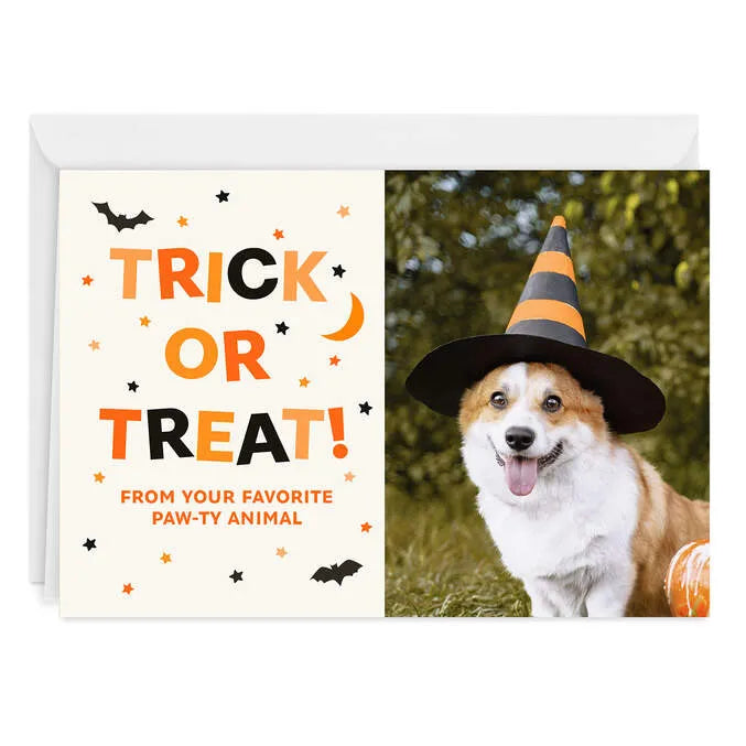 Trick or Treat Paw-ty Animal Custom Halloween Card