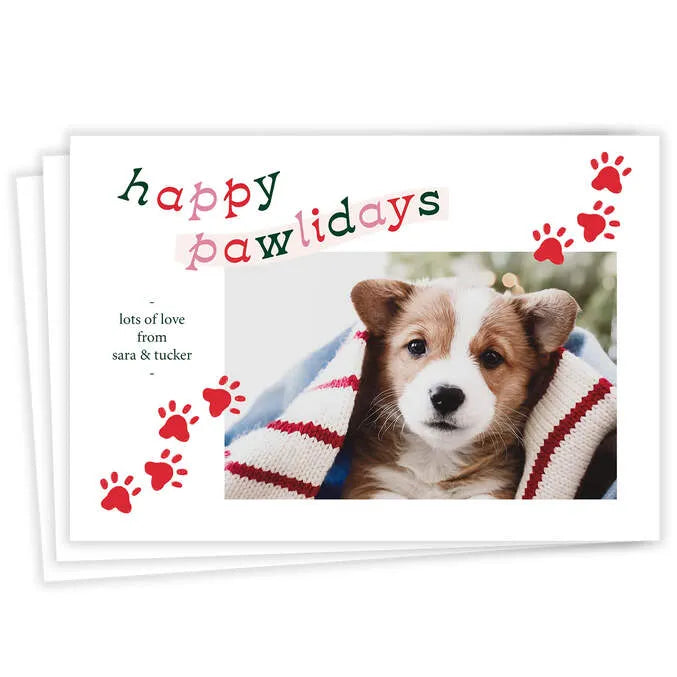 Fun Pawlidays Pet Flat Holiday Photo Card
