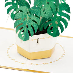 Plant in Pot 3D Pop-Up Thinking of You Card