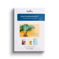 Simple Plants Assorted Religious Encouragement Cards, Box of 12