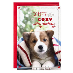 Comfy, Cozy and Merry Christmas Card
