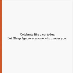 Celebrate Like a Cat Funny Birthday Card