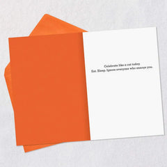 Celebrate Like a Cat Funny Birthday Card