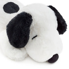Snoopy Lying Down