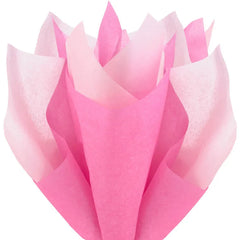 Solid Hot Pink/Medium Pink 2-Pack Tissue Paper, 6 sheets