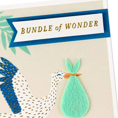 Bundle of Wonder New Baby Boy Card