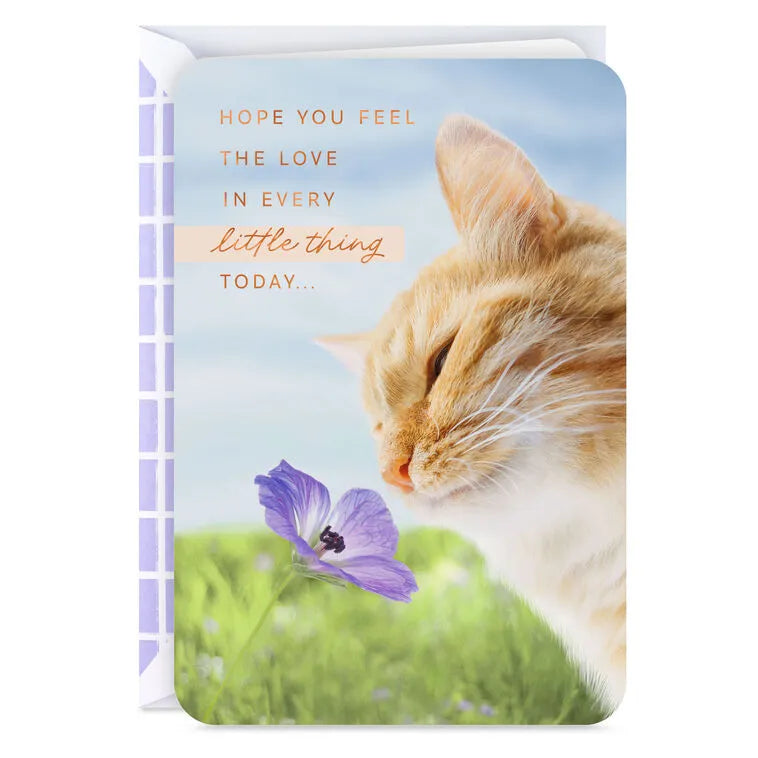 Hope You Feel the Love Today Card