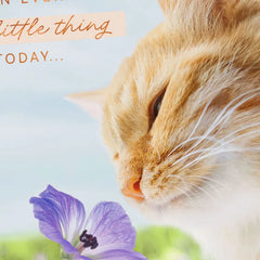 Hope You Feel the Love Today Card