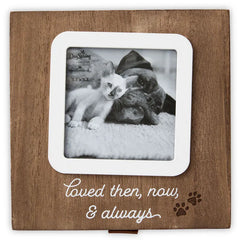 Then, Now and Always Pet Memory Box