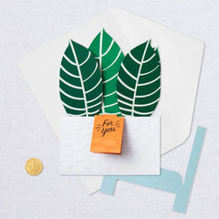 Zebra Plant Own Your Stripes 3D Pop-Up Thinking of You Card